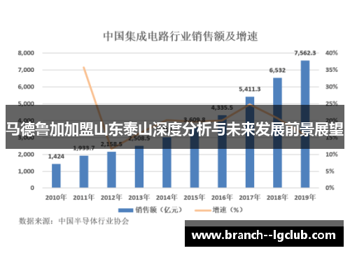 马德鲁加加盟山东泰山深度分析与未来发展前景展望